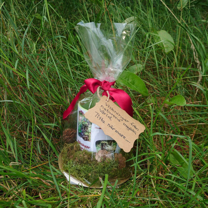 Vit 11oz keramikmugg med färgad insida - Mugg - Viskningar från naturens magiska värld - Bild 7
